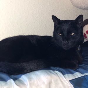 Meet your Posher, Erick